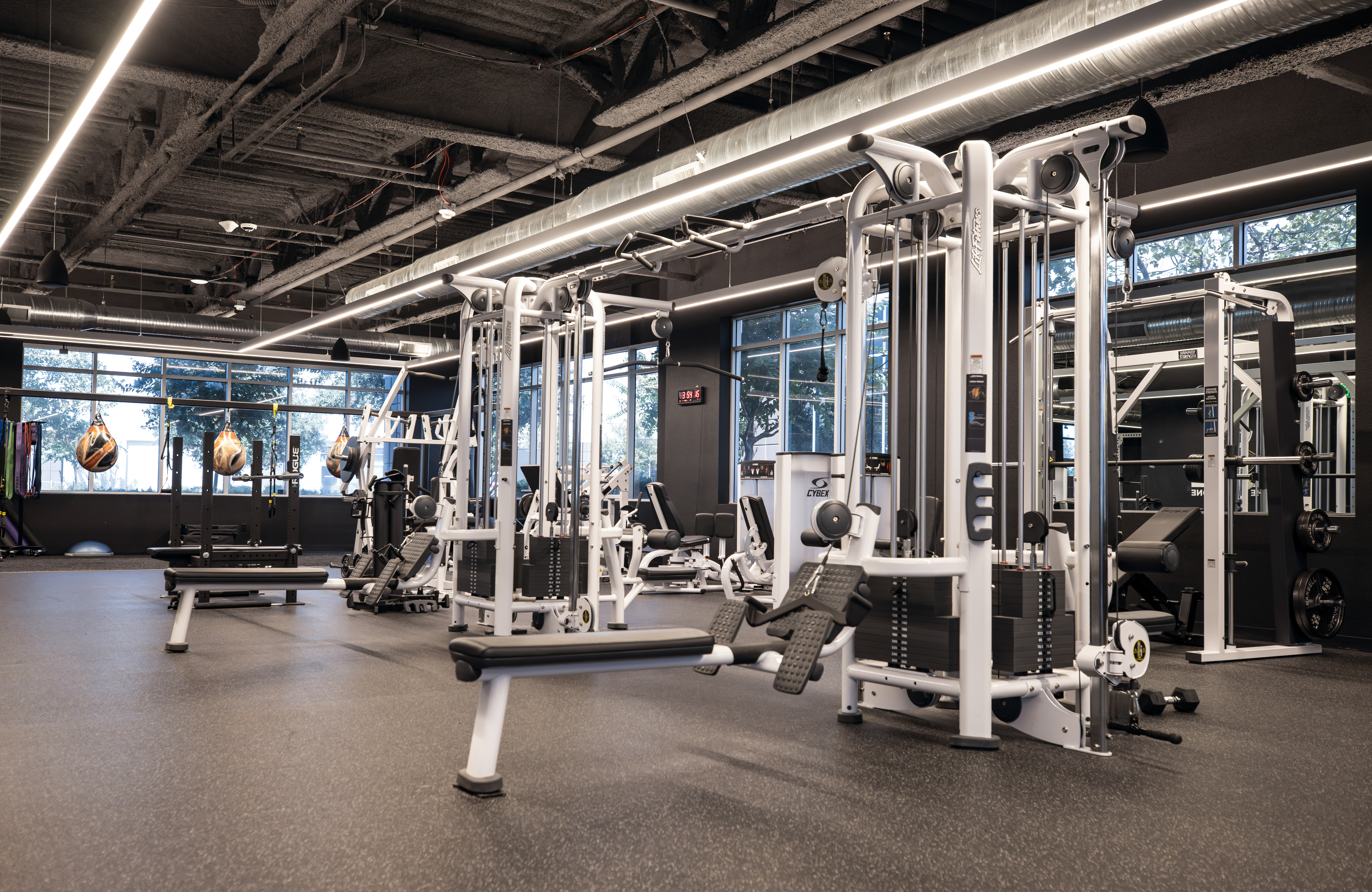 gym
